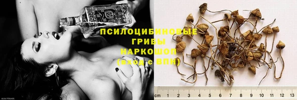 метадон Алексин